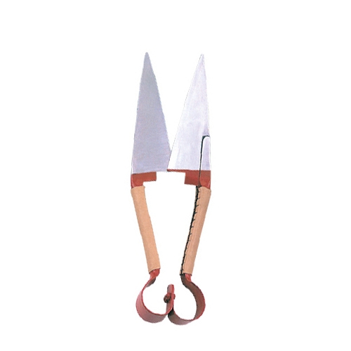 Text